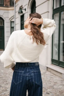 Jane SDM