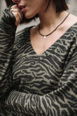 Parina Zebra